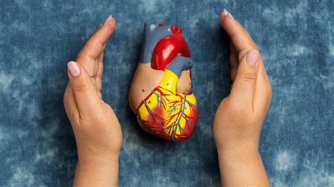 Triglycerides explained: Normal ranges, high-level risks, and why they ...