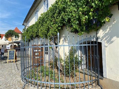 Big Guy's Wine Tour (Maribor) - All You Need to Know BEFORE You Go