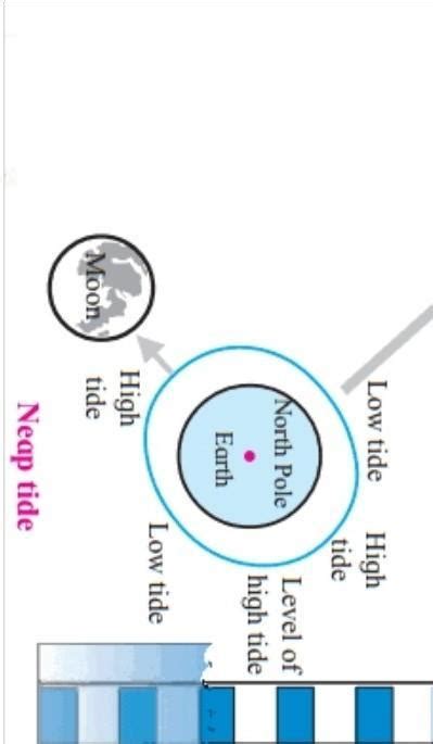 diagram of spring tides , figure 3.7 lessson 3 tides .std 7th subject ...