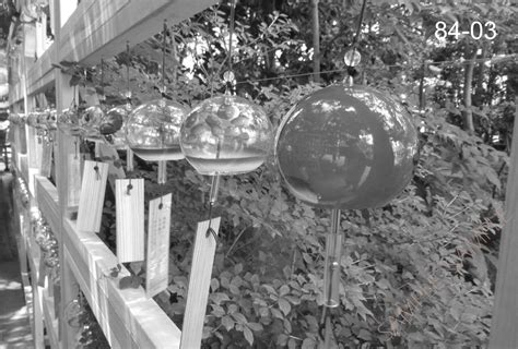 シリーズ 墨東歳時記84 〜日本橋・福徳神社〜 ＜フォトカード・バラ売り＞ | toyo-b