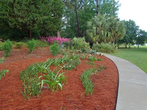 How To Get Pine Straw Out Of Mulch at Scarlett Packham blog