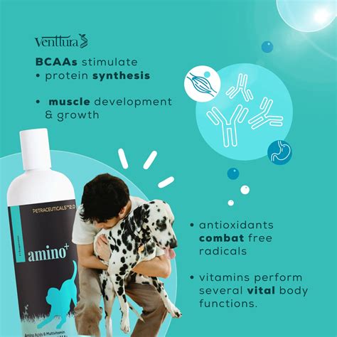 Dog Amino Acid Supplement | Amino+ for Muscle & Strength