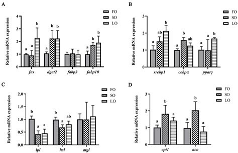 Effects of Dietary Vegetable Oils Replacing Fish Oil on Fatty Acid ...