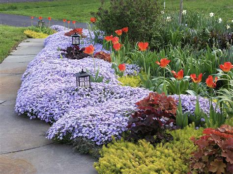 Entrance Flower Bed Ideas 6 Beautiful Flower Bed Ideas For Your Front