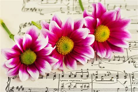 Radio Mega Haiti Listen Live - 103.7 kHz AM, Port-au-Prince, Haiti ...