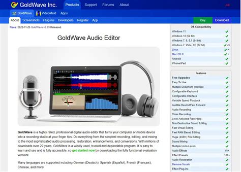 Image result for Video Voice Over Software for PC