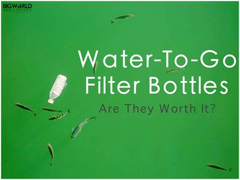 Cut Down on Plastic Bottles By Using a Filter Water Bottle When ...