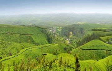 Heart-warming 4 Days 3 Nights Munnar, Periyar and Thekkady Tour Package ...