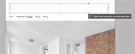 Image result for OpenType InDesign