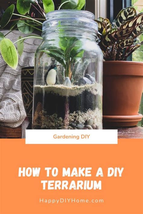 Image result for Terrarium Making111