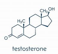 testosterone 的图像结果