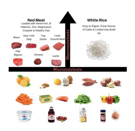 Vertical Diet Explained 的图像结果