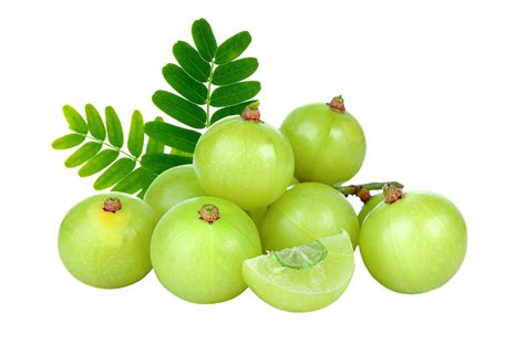 amla png transparent background 29228808 PNG