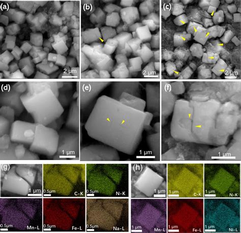Image result for Concentration Gradient in Cathode