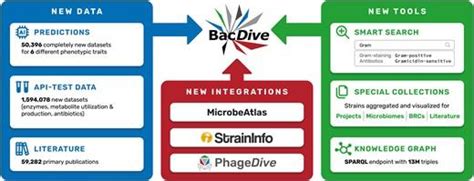 Image result for Bacdive Tutorial