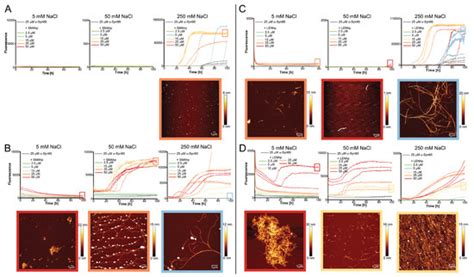 Nucleation of α-Synuclein Amyloid Fibrils Induced by Cross-Interaction ...