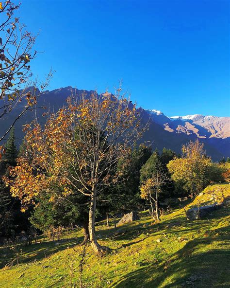 Decoding the Weather Puzzle of Kullu Valley – Skimo.in