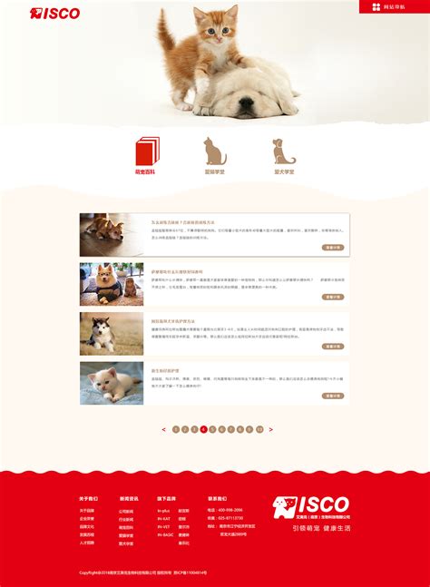 宠物网站|网页|企业官网|气质压倒一切 - 原创作品 - 站酷 (ZCOOL)