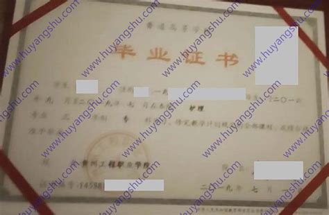 北京城市学院毕业证样本图片-胡杨树样本网