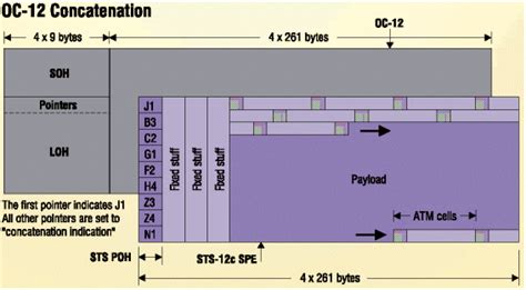 Sonet in Networking Explained 的图像结果