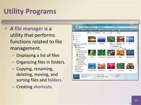Image result for Functions of Utility Programs