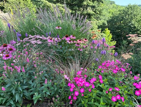5 Stunning Perennials to Elevate Your Ornamental Grass Garden