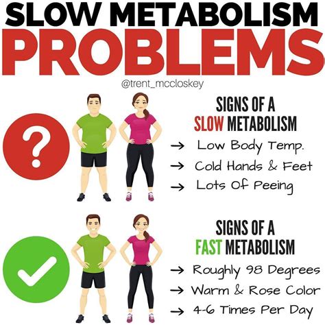 Fast Metabolism Signs And Symptoms