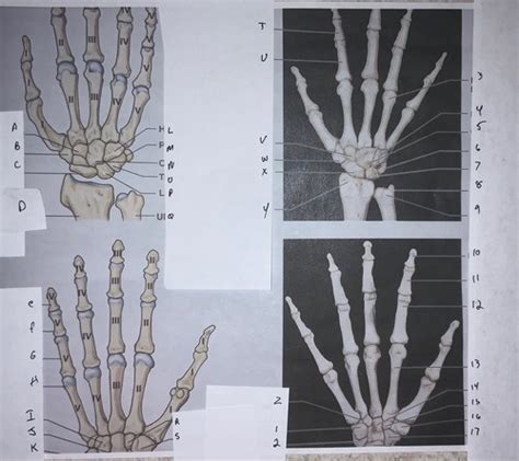 Image result for Hand Labeling