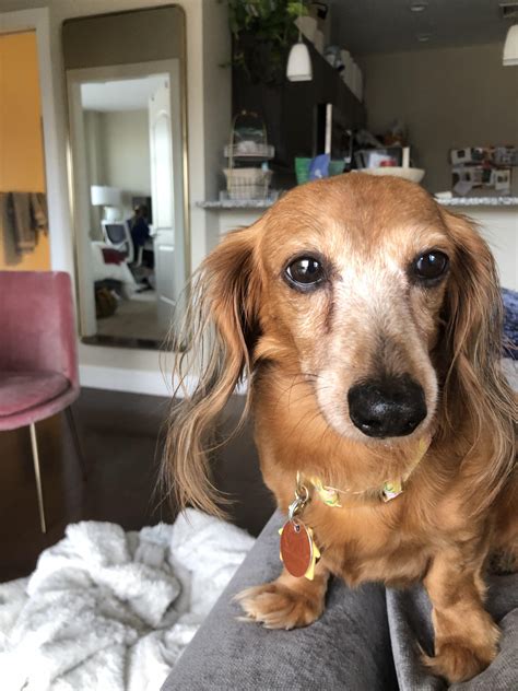 Eye Crust- my little lady has “leaky” eyes. I was wondering if anyone else has this issue and ...