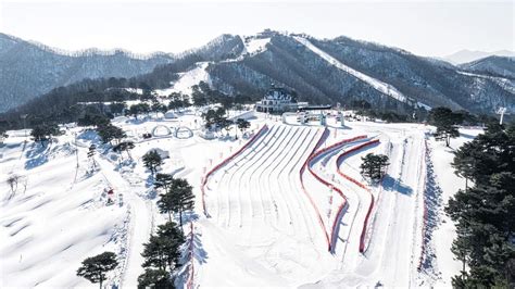 Vivaldi Park Snowy Land One Day Self Guided Tour in Gangwon-do - Klook ...