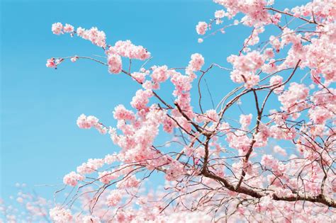 What Is Your Spring Color Palette? Quiz