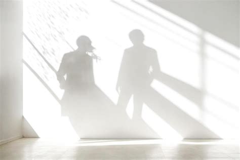 Image result for Switch 2 Shadows