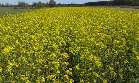 Traumhafter Bauernhof in Südtirol zu verkaufen in Leifers | Immobilien ...