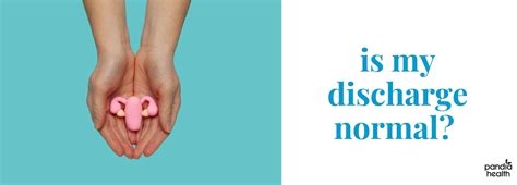 Normal Vaginal Discharge 的图像结果