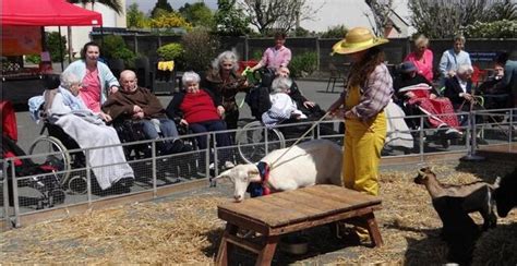 Saint-Pol-de-Léon. Une ferme pédagogique à l’Ehpad de Kersaudy ...