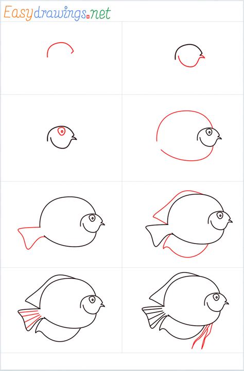 Discus Tutorial 的图像结果