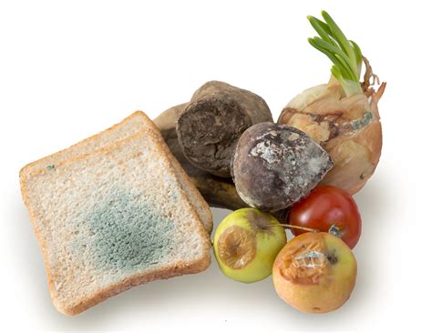 5S Principles for Food Industry Efficiency & Safety