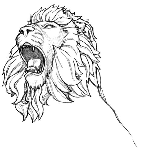 Lion Head Drawing Step By Step at GetDrawings | Free download