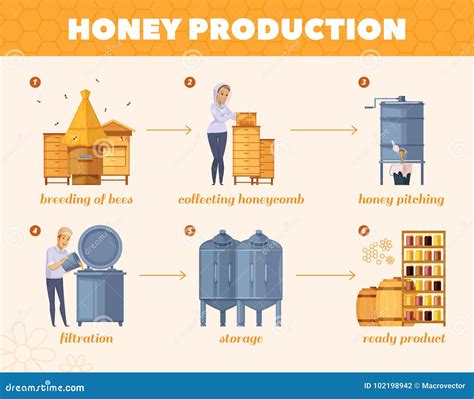 Honey Production Process Cartoon Flowchart Vector Illustration ...