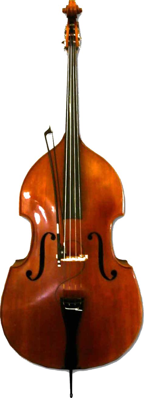 Orchestra Instruments 的图像结果