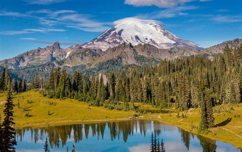 Washington 的图像结果