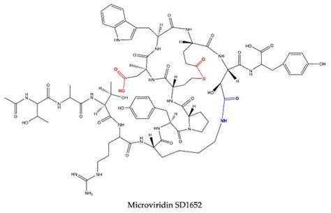 Current Knowledge on Microviridin from Cyanobacteria