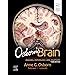 Buy OSBORN'S BRAIN, 2ND EDITION: Imaging, Pathology, and Anatomy Book ...