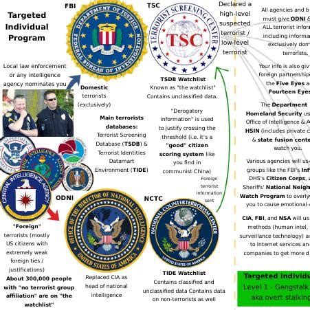 Targeted Individual Program 的图像结果