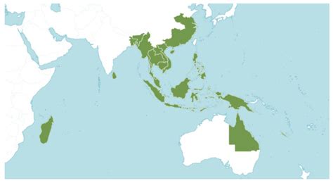 Do Reactive Oxygen and Nitrogen Species Have a Similar Effect on ...