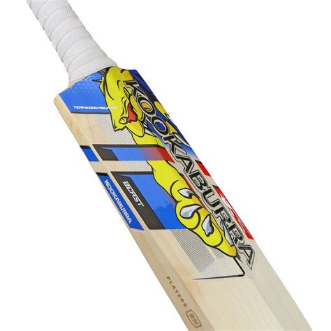 Glenn Maxwell Beast Cricket Bat in India | Power Hitter’s Choice ...