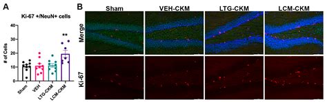Frontline Sodium Channel-Blocking Antiseizure Medicine Use Promotes ...