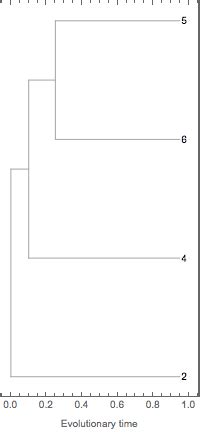 JavaScript Draw Lineage Graph 的图像结果
