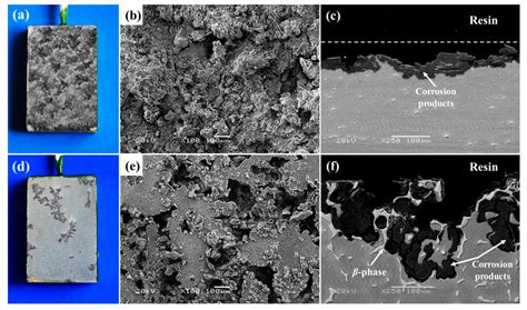 Role of Substrates in the Corrosion Behaviors of Micro-Arc Oxidation ...