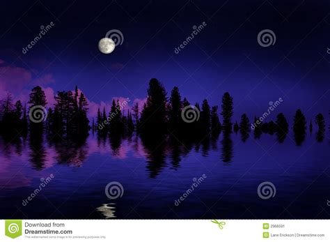 森林月出 库存图片. 图片 包括有 月亮, 户外, 紫色, 照亮, 反映, 微明, 月出, 剪影, 影子, 晚上 - 2966591